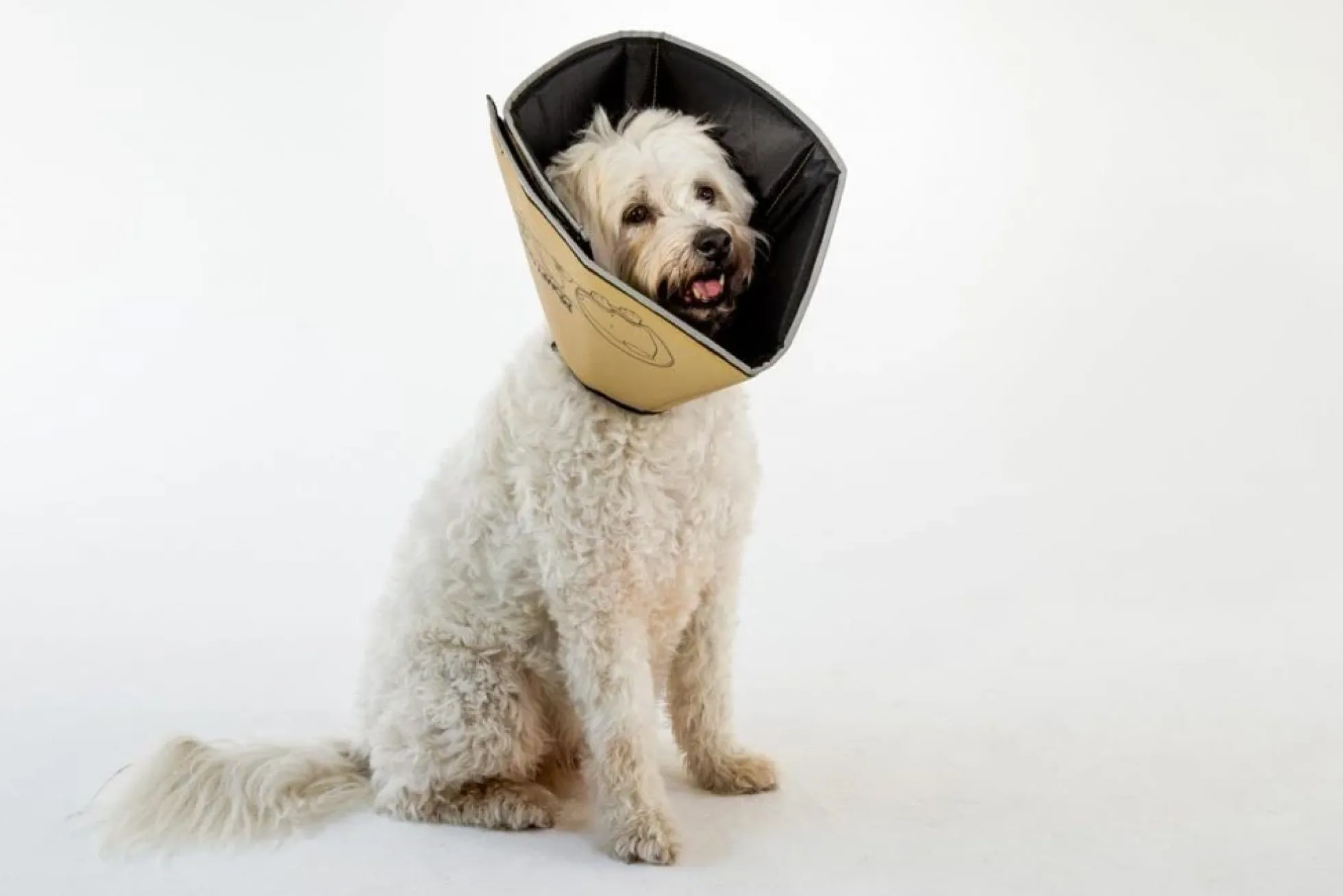 Comfy Cone Kaki