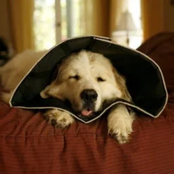 Comfy Cone Zwart