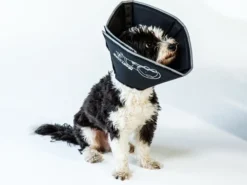 Comfy Cone Zwart