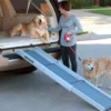 Compact telescoping dog Ramp- Tri-Scope