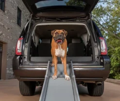 Compact telescoping dog Ramp- Tri-Scope