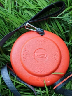 Dexas Offleash Flyer orange