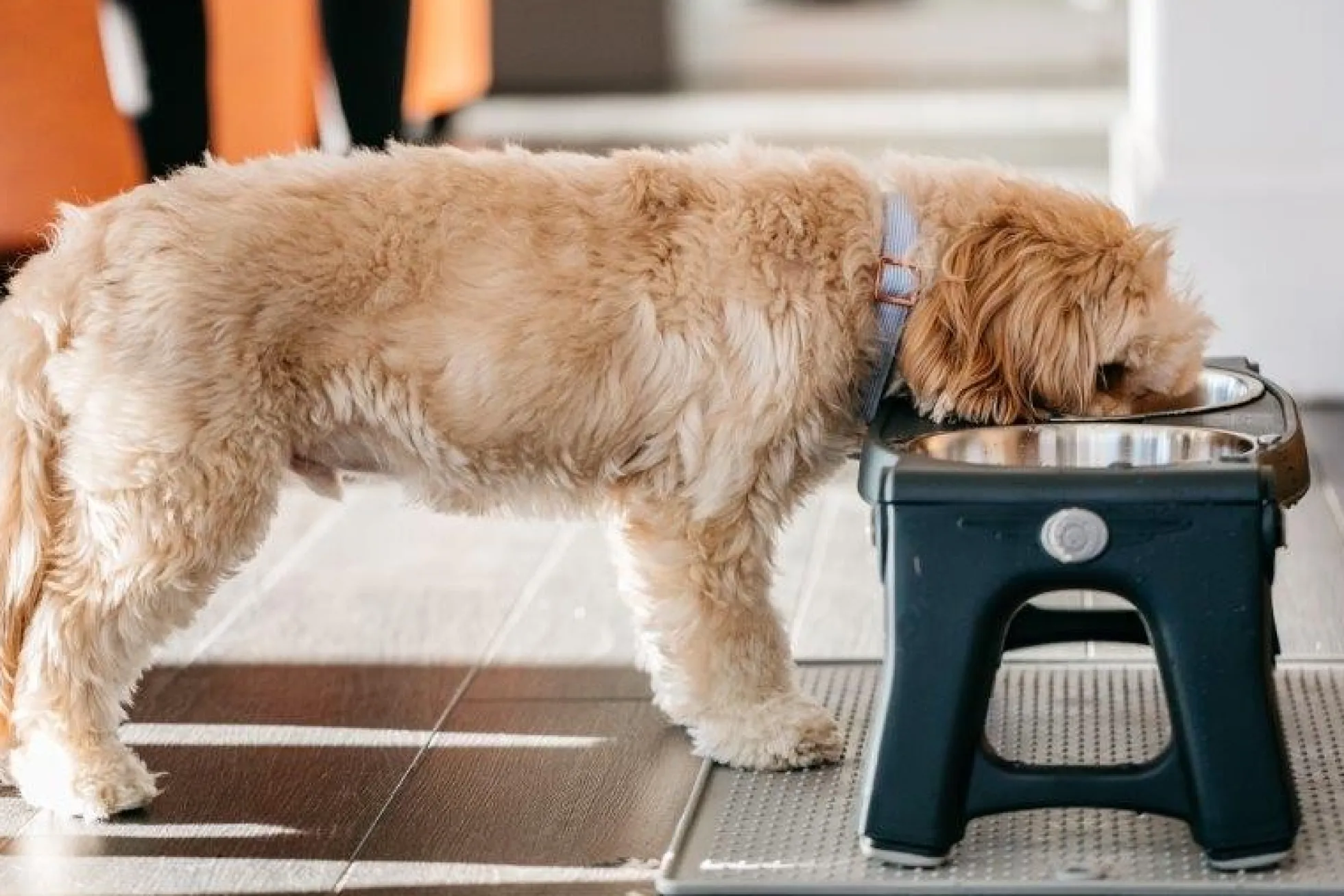 Dexas Pet Bowl Grippmat Lichtgrijs