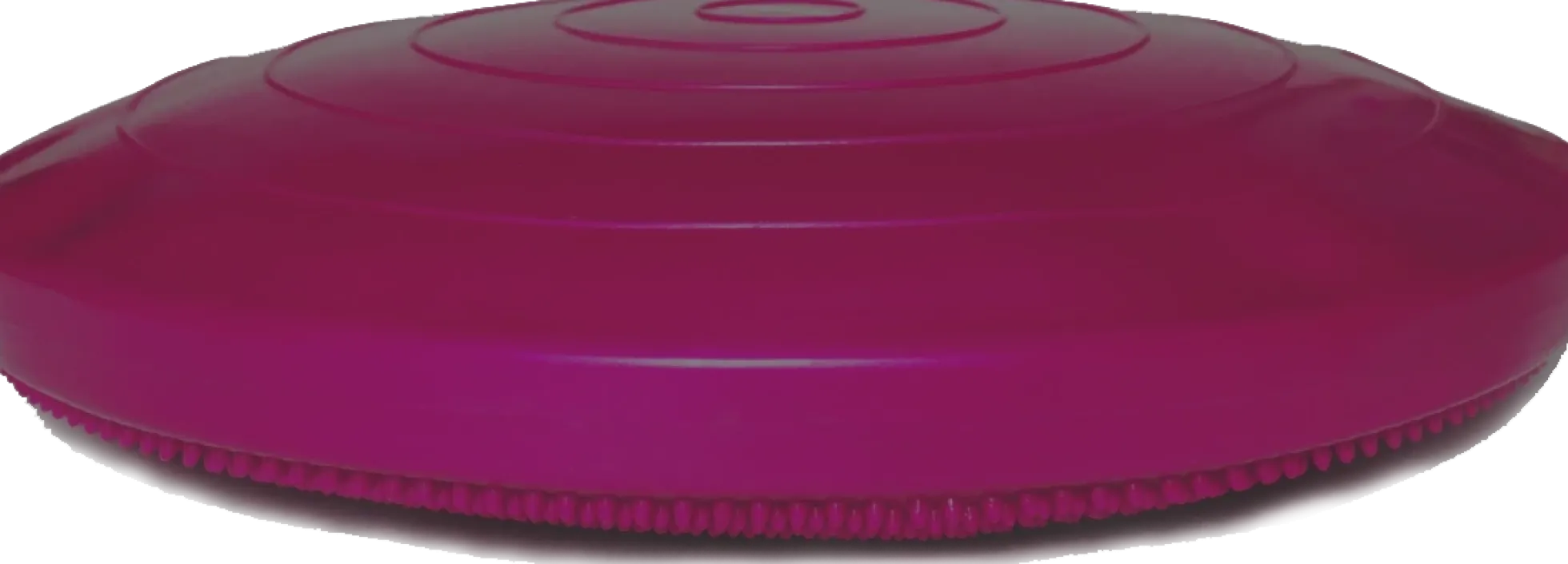 Fitpaws Balance Disk Roze