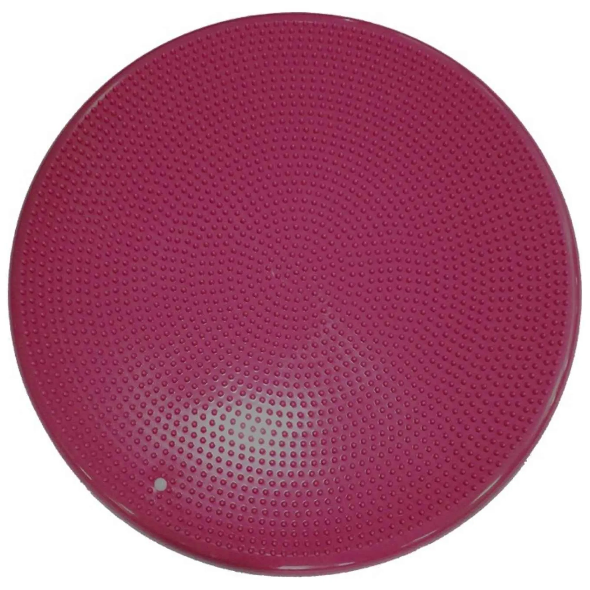 Fitpaws Balance Disk Roze