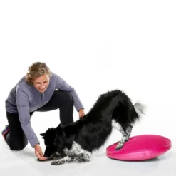 Fitpaws Balance Disk Roze