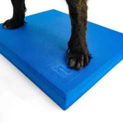 FitPAWS Balance Pad