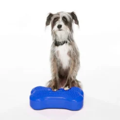 FitPAWS Bone Mini