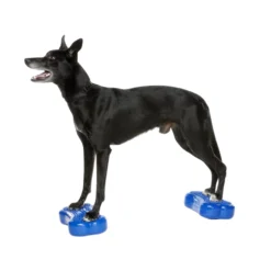 FitPAWS Bone Mini