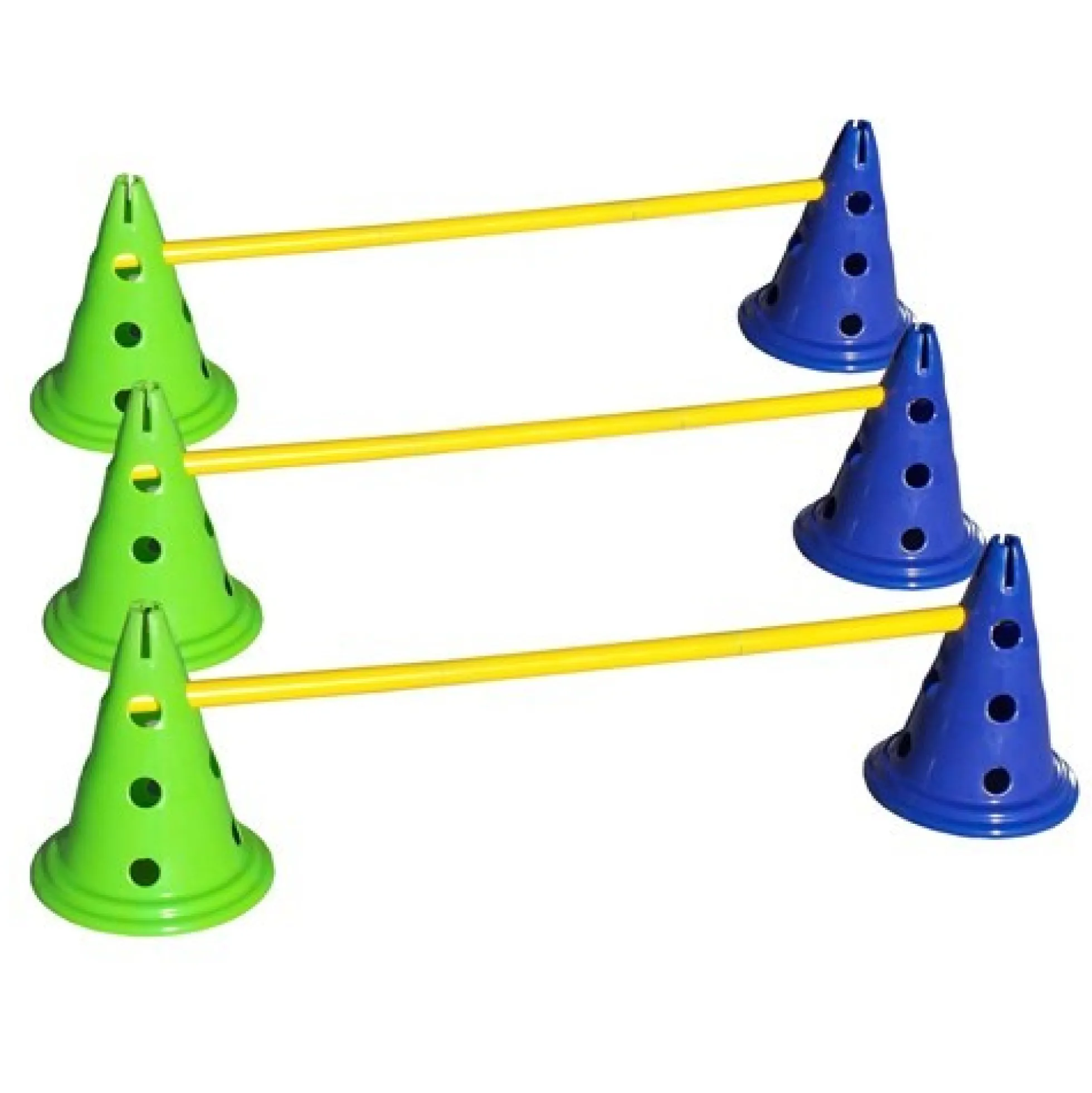 FitPAWS CanineGym Agility set