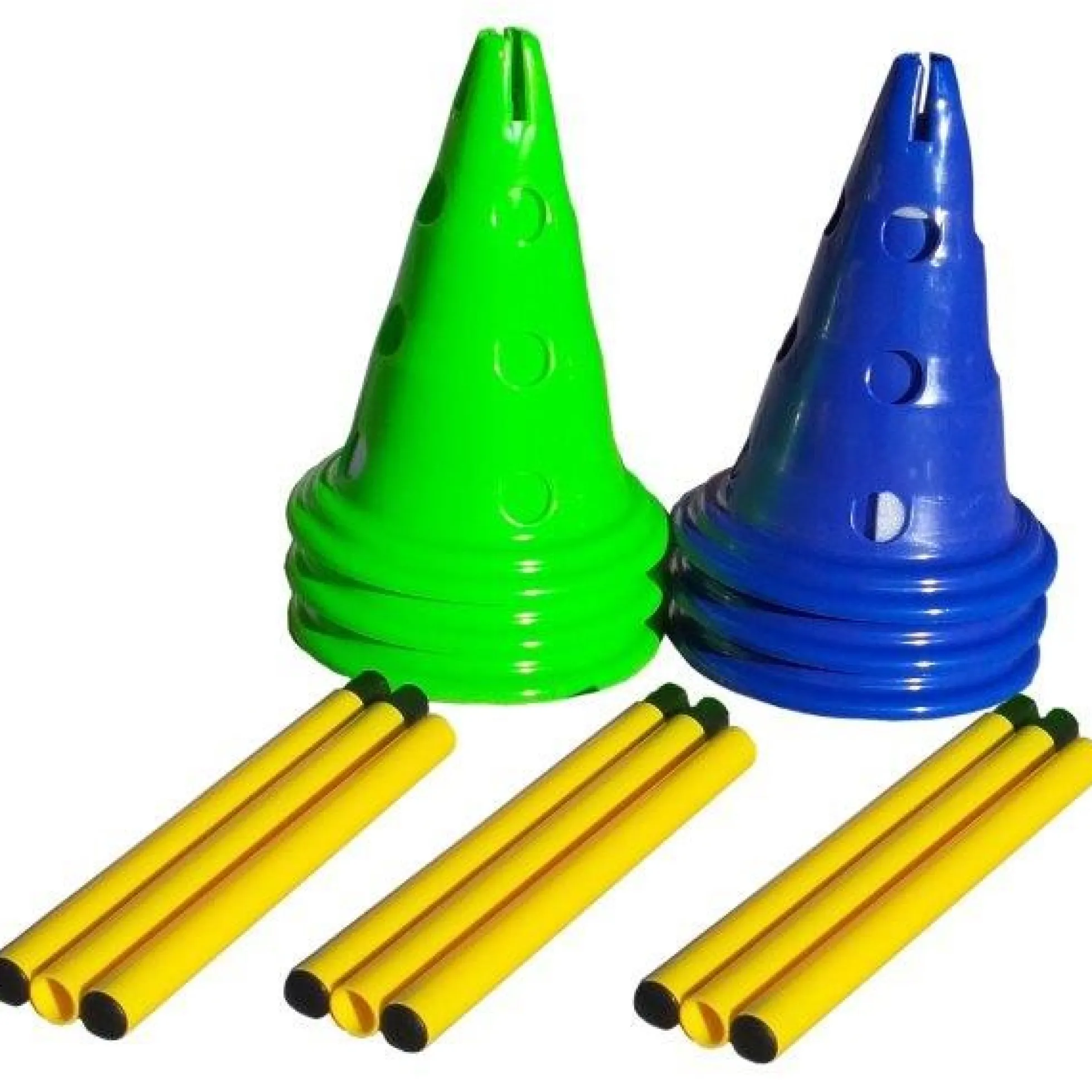 FitPAWS CanineGym Agility set