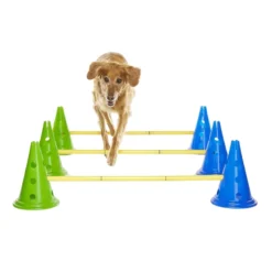 FitPAWS CanineGym Agility set