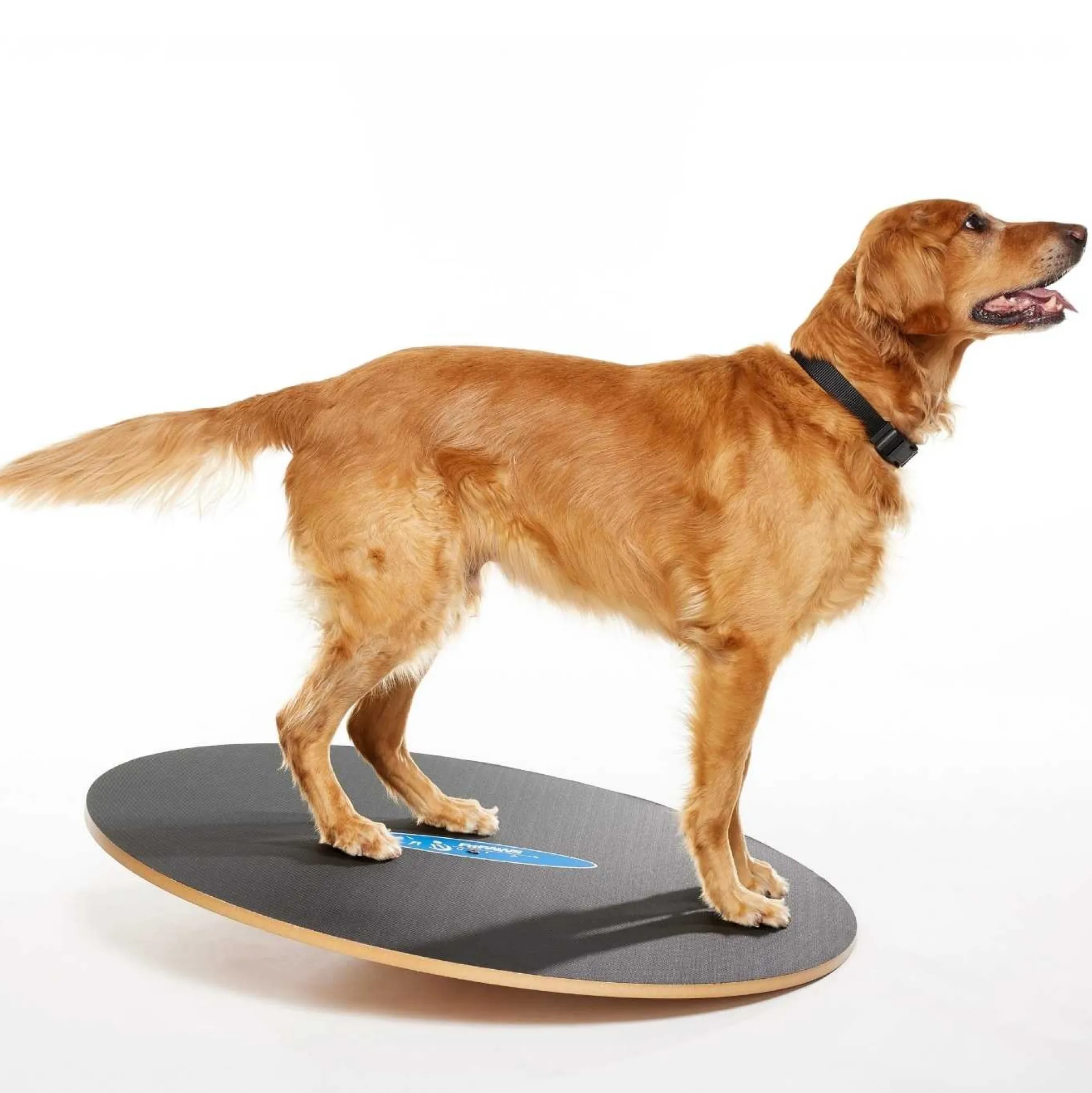 FitPAWS 50 cm Wobble Board (VP)