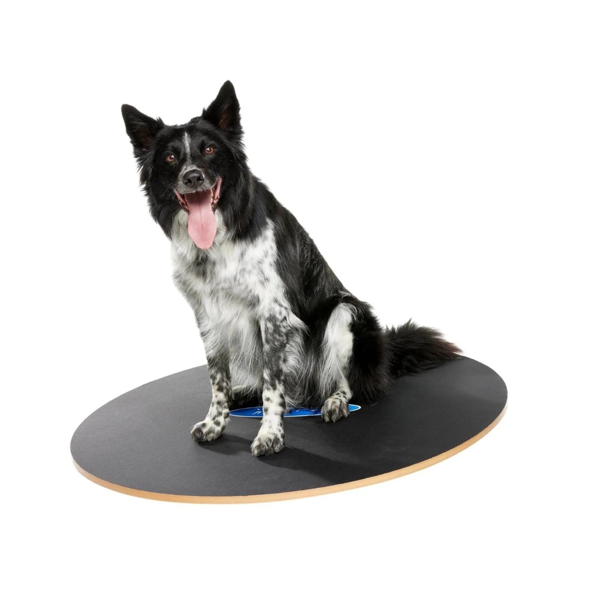 FitPAWS 50 cm Wobble Board (VP)