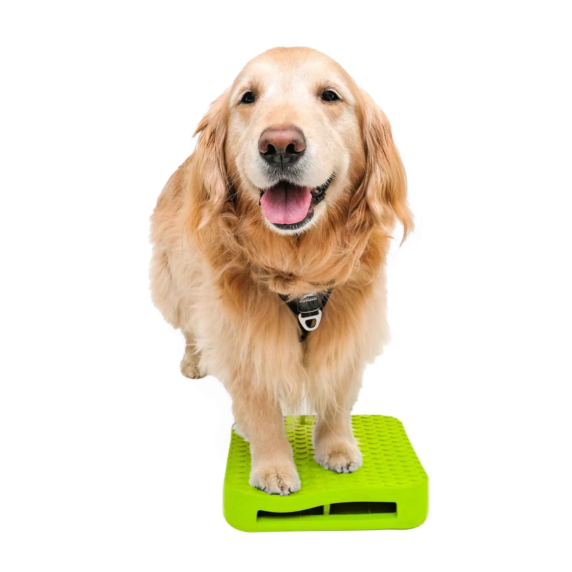 FitPAWS Dog Balance Ramp
