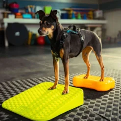 FitPAWS Dog Balance Ramp