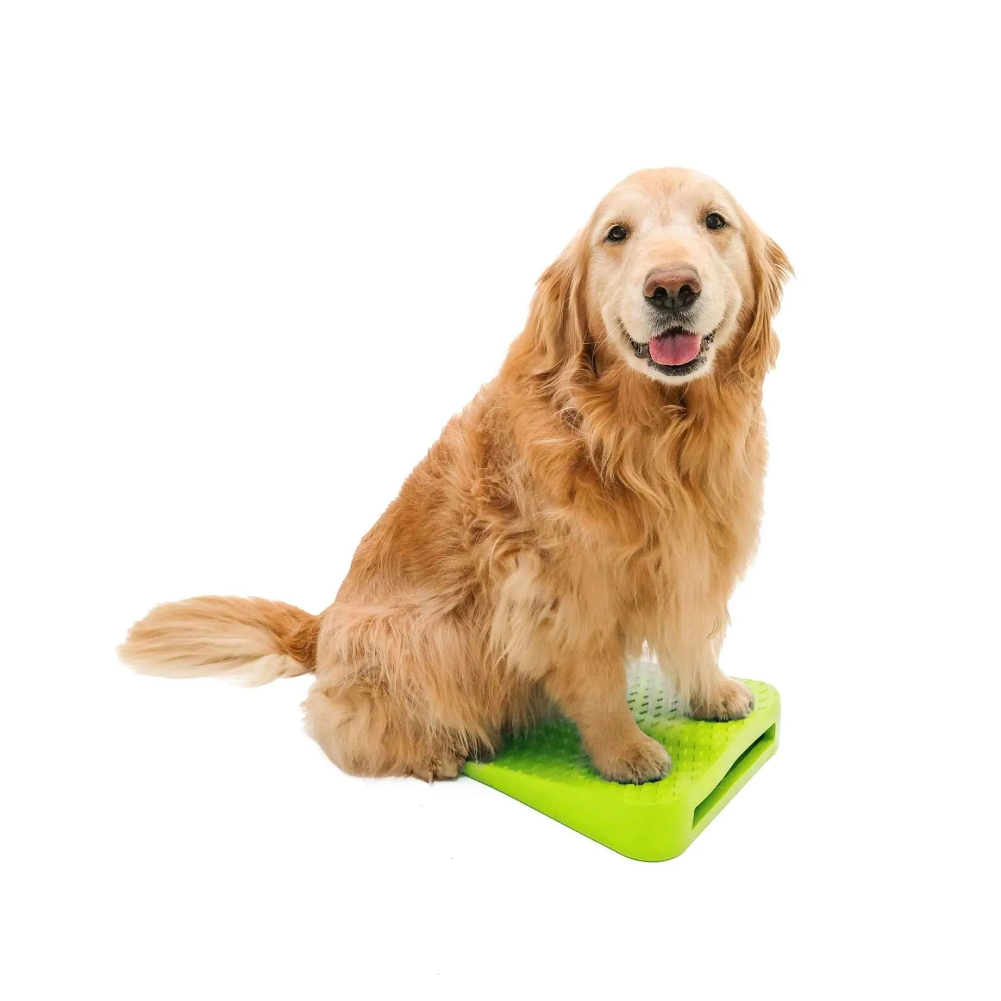 FitPAWS Dog Balance Ramp