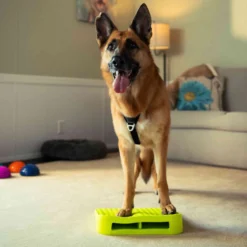 FitPAWS Dog Balance Ramp
