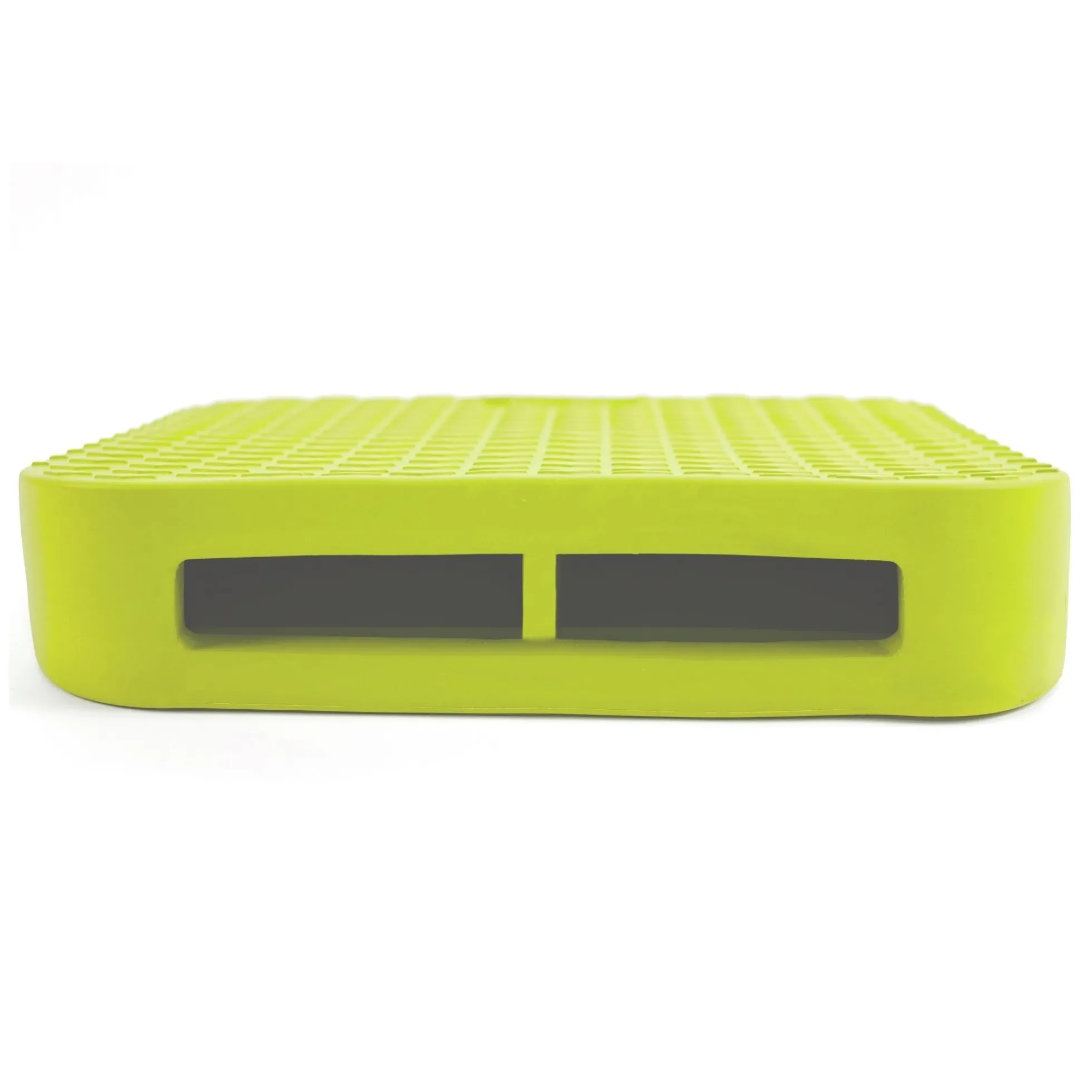 FitPAWS Dog Balance Ramp