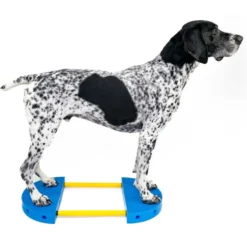 FitPAWS FitKinect 360