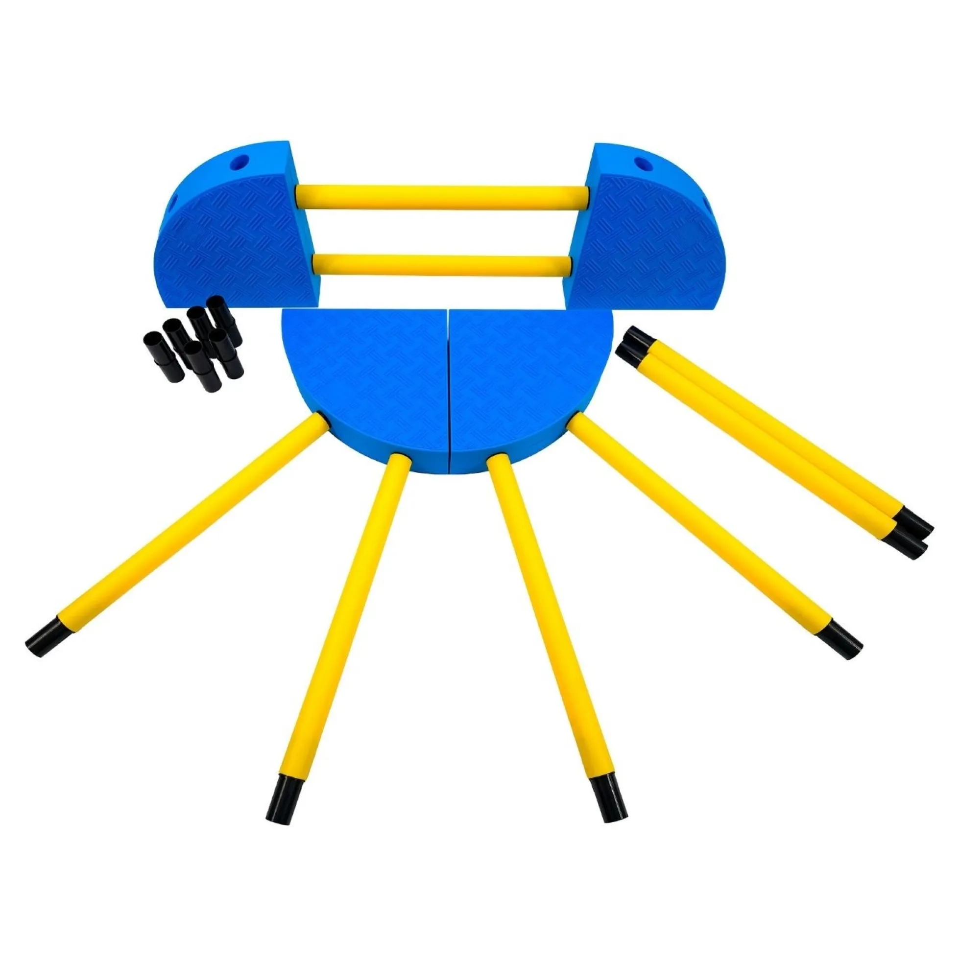 FitPAWS FitKinect 360