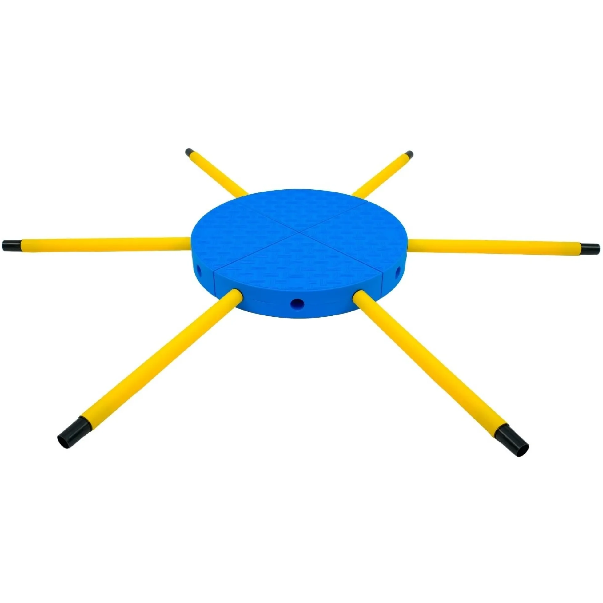 FitPAWS FitKinect 360