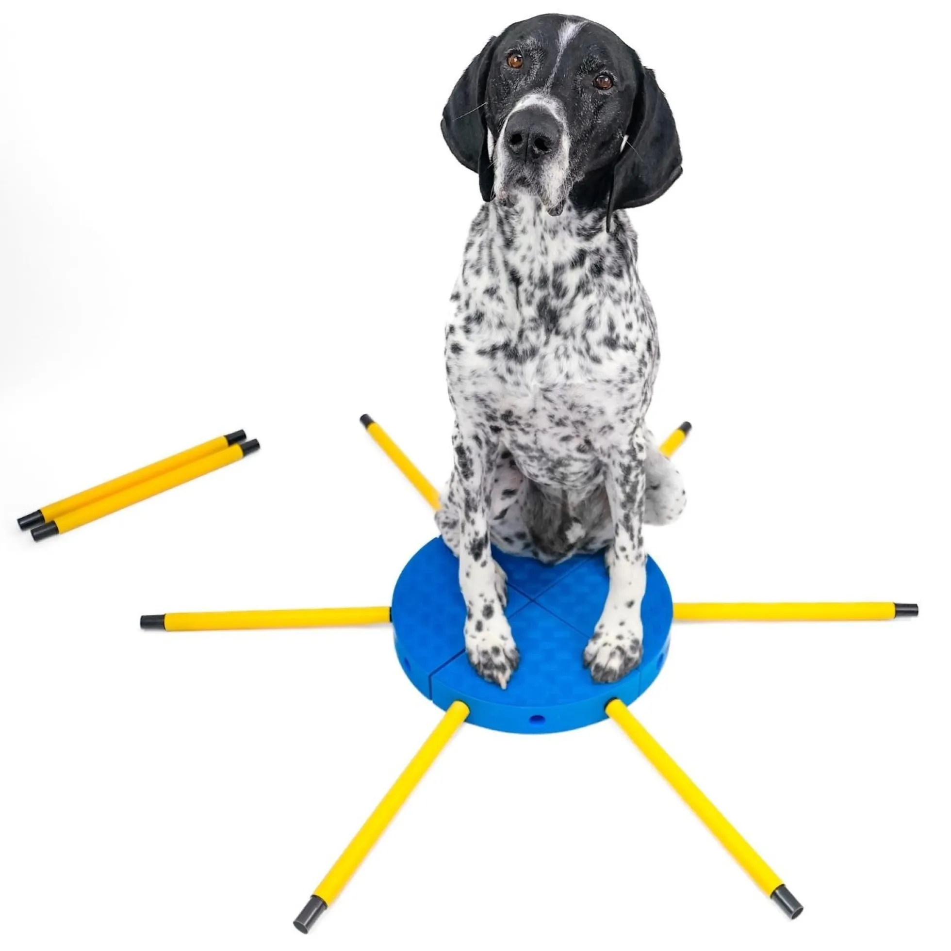FitPAWS FitKinect 360