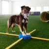 FitPaws FitKinect Core