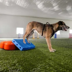 FitPaws FitKinect Core