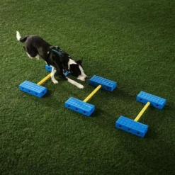 FitPaws FitKinect Upgrade Kit - Octagon
