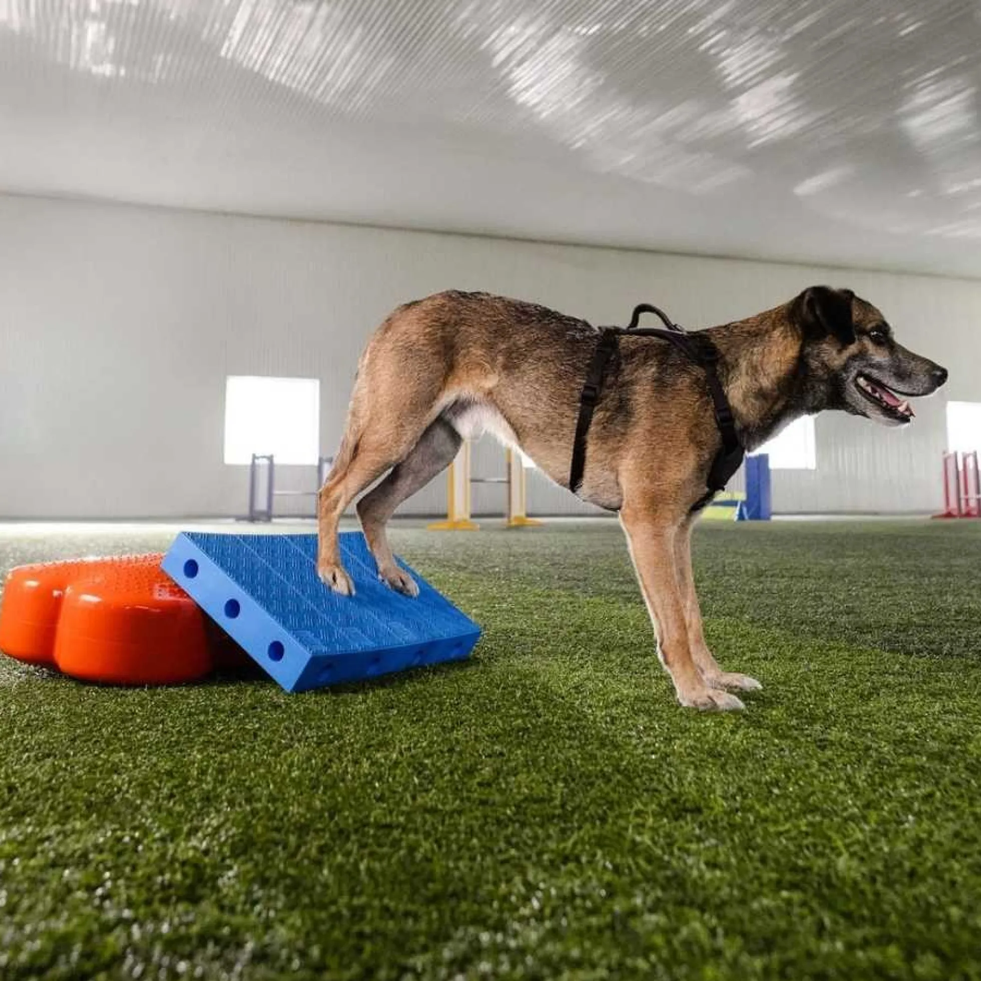 FitPaws FitKinect Upgrade Kit - Rechthoek