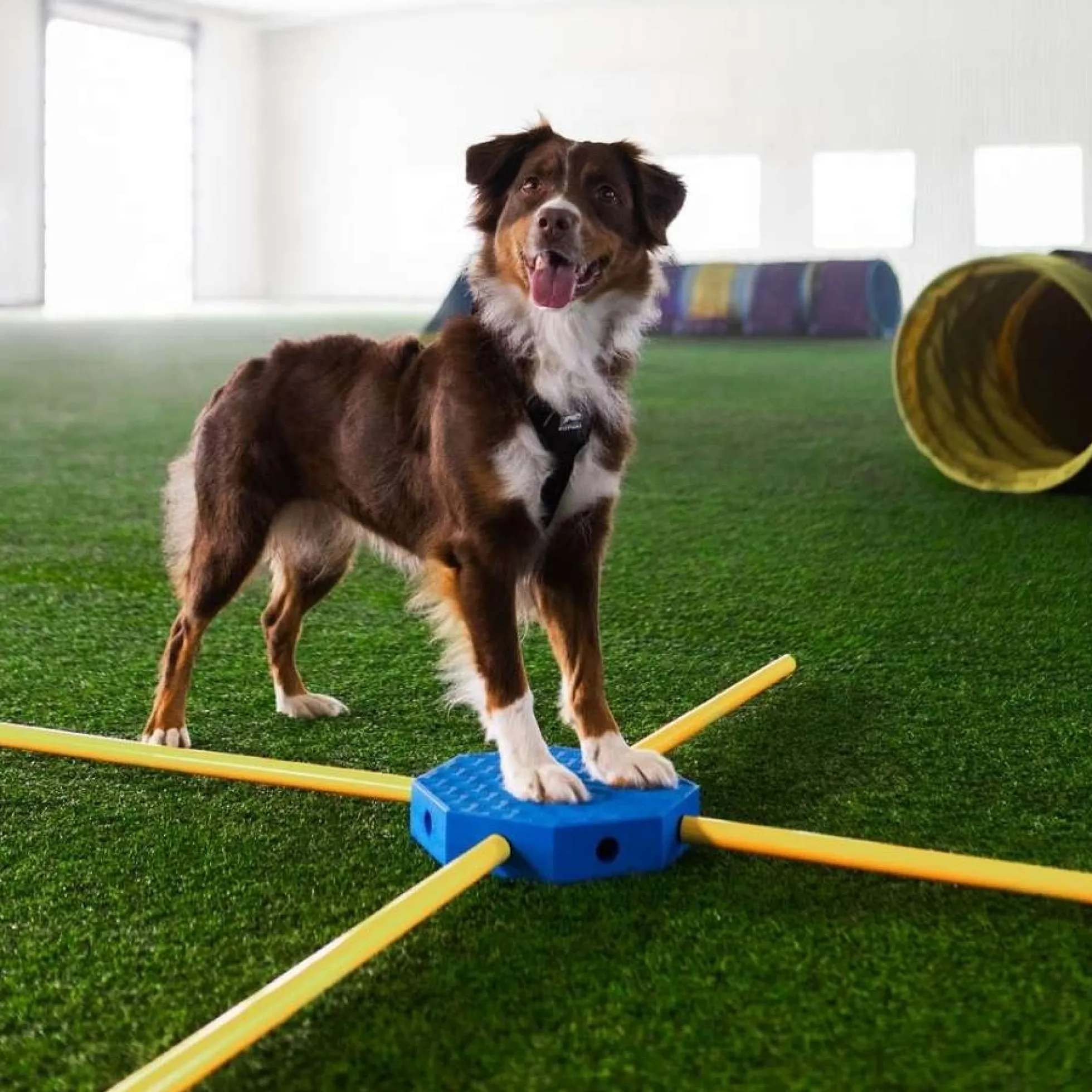 FitPaws FitKinect Upgrade Kit - Rechthoek