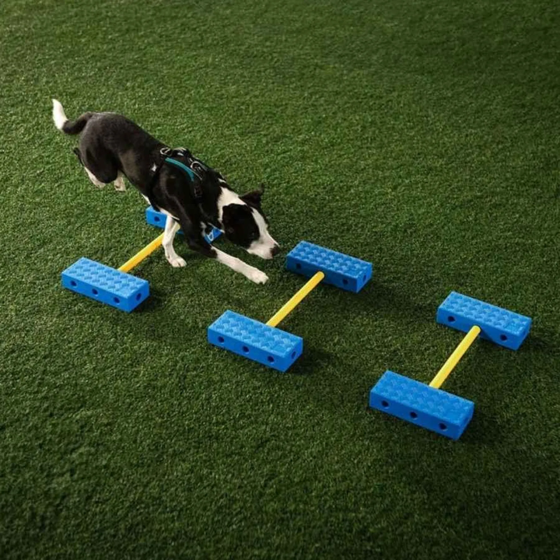 FitPaws FitKinect Upgrade Kit - Rechthoek