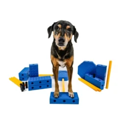 FitPAWS FitKinect Xtra