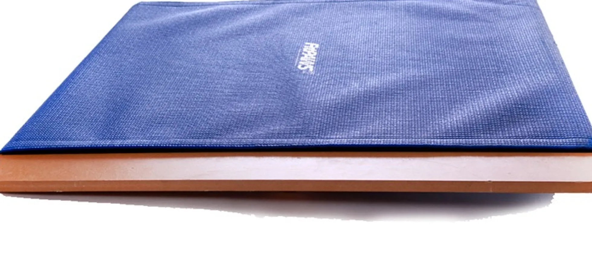 FitPAWS Giant Rocker Board