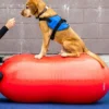 FitPAWS Peanut Rood