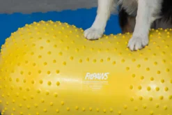 FitPAWS Peanut Yellow trax