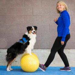 FitPAWS Peanut Yellow trax