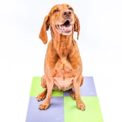 FitPaws TRAX Targets Periwinkle – Set van 2