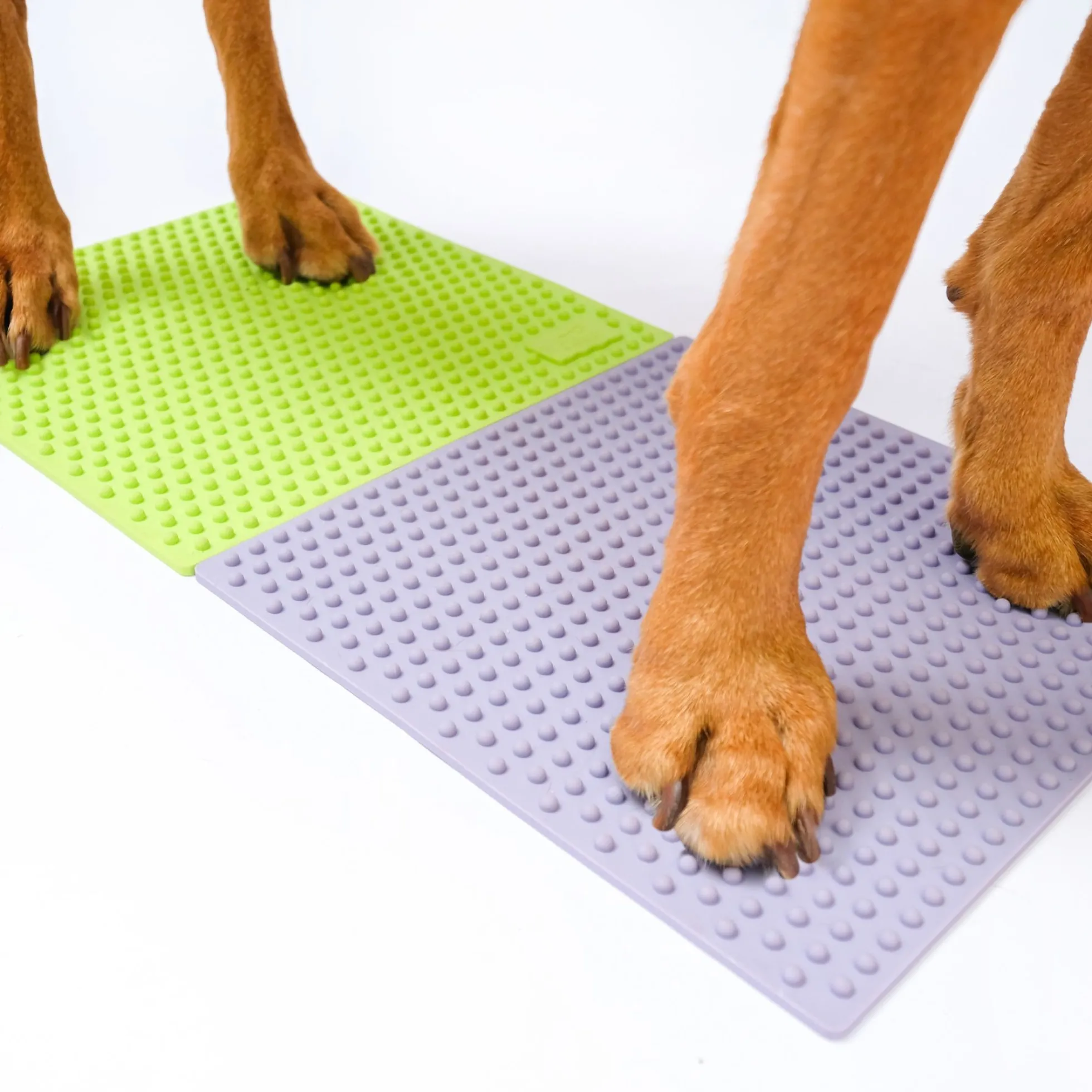 FitPaws TRAX Targets Tennis – Set van 2