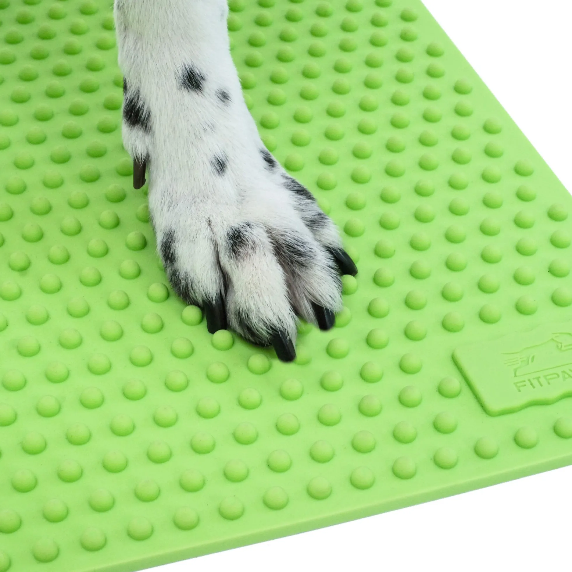 FitPaws TRAX Targets Tennis – Set van 2