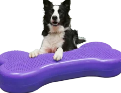 Giant K9Fitbone