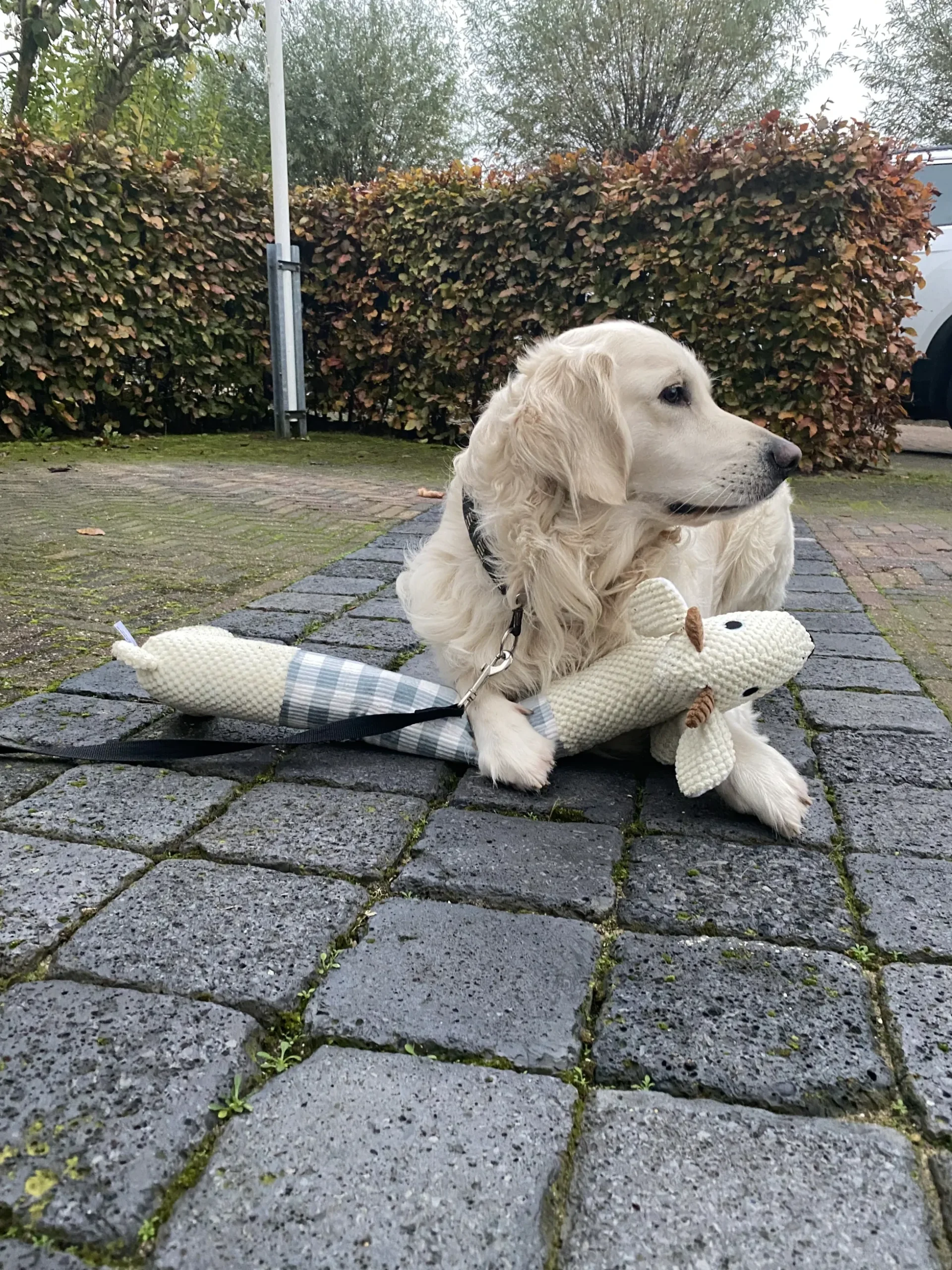Hondenknuffel Dog Deer XXL