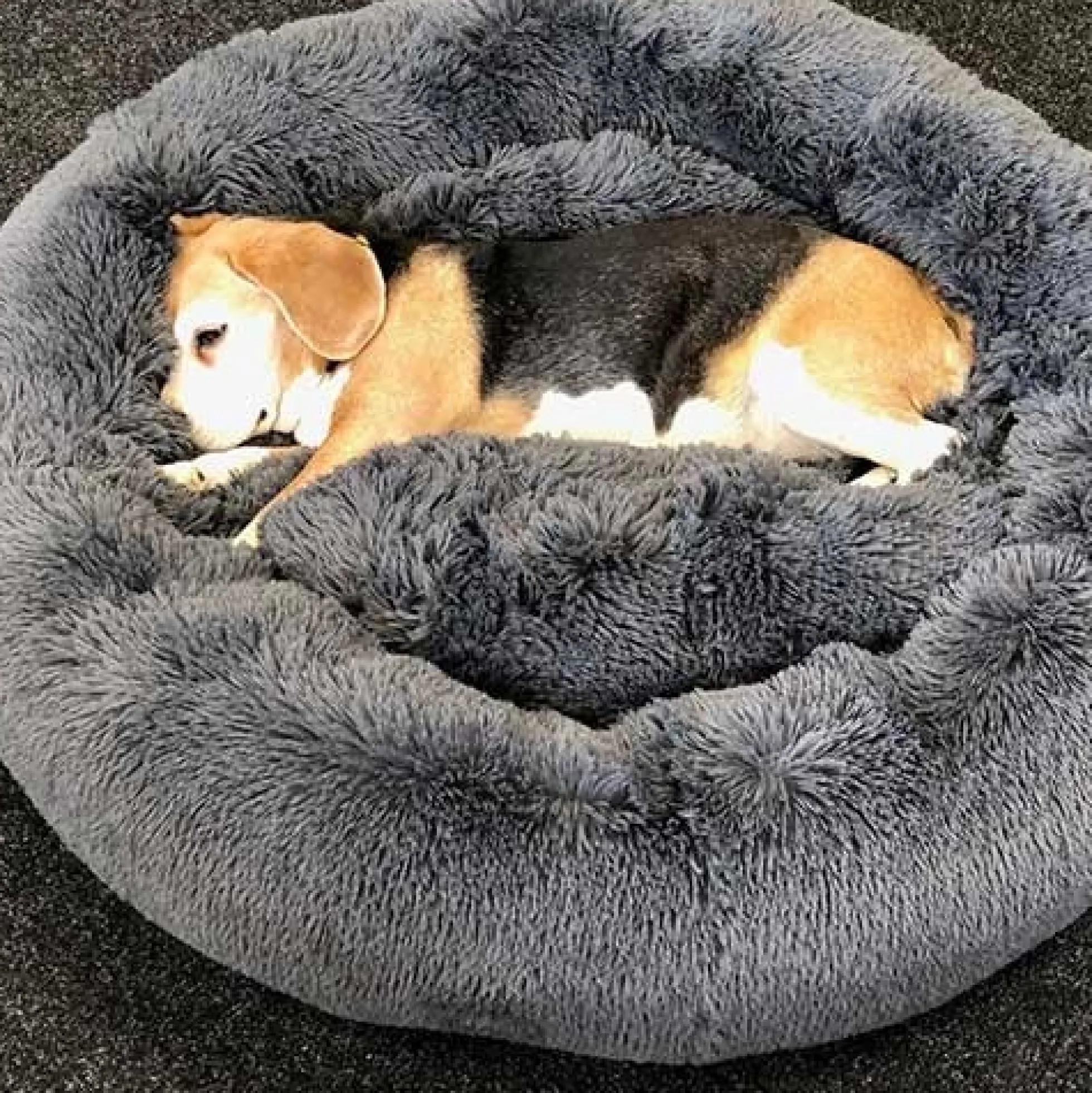 Hondenkussen Cuddle Donkergrijs rond