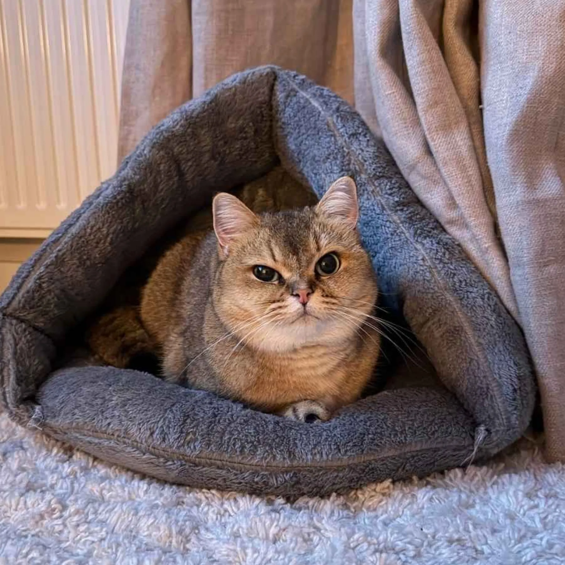 Kattenhol Iglo Grijs