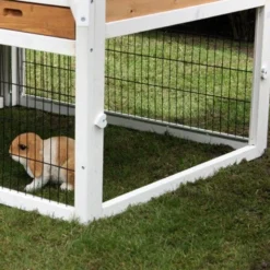 Konijnenhok Belize Duo met ren