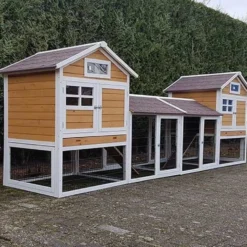 Konijnenhok Belize Duo met ren