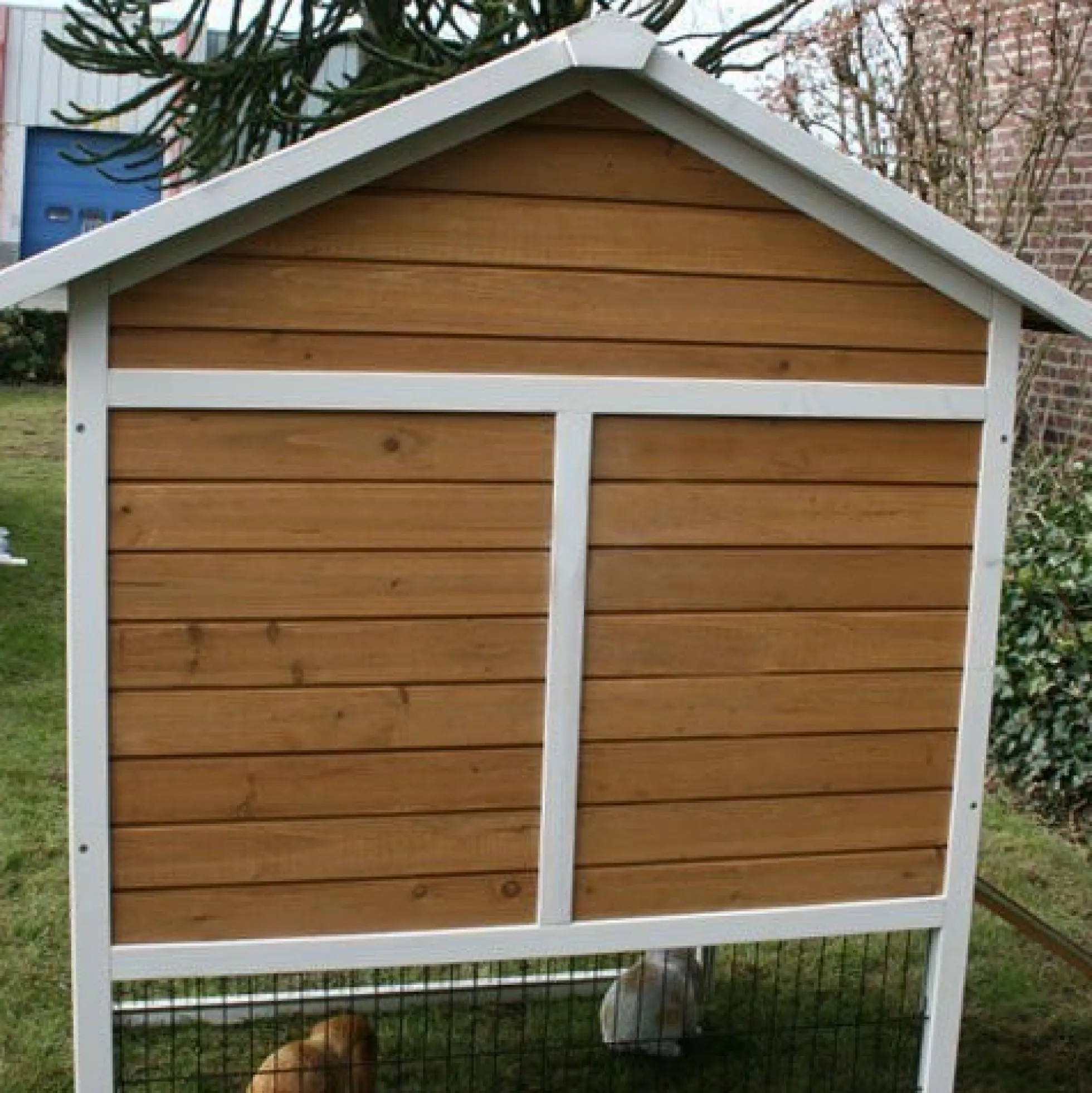 Konijnenhok Belize Duo met ren XL