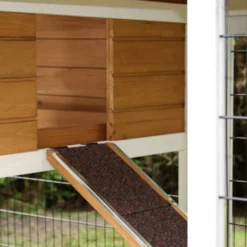 Konijnenhok Belize ren rechts