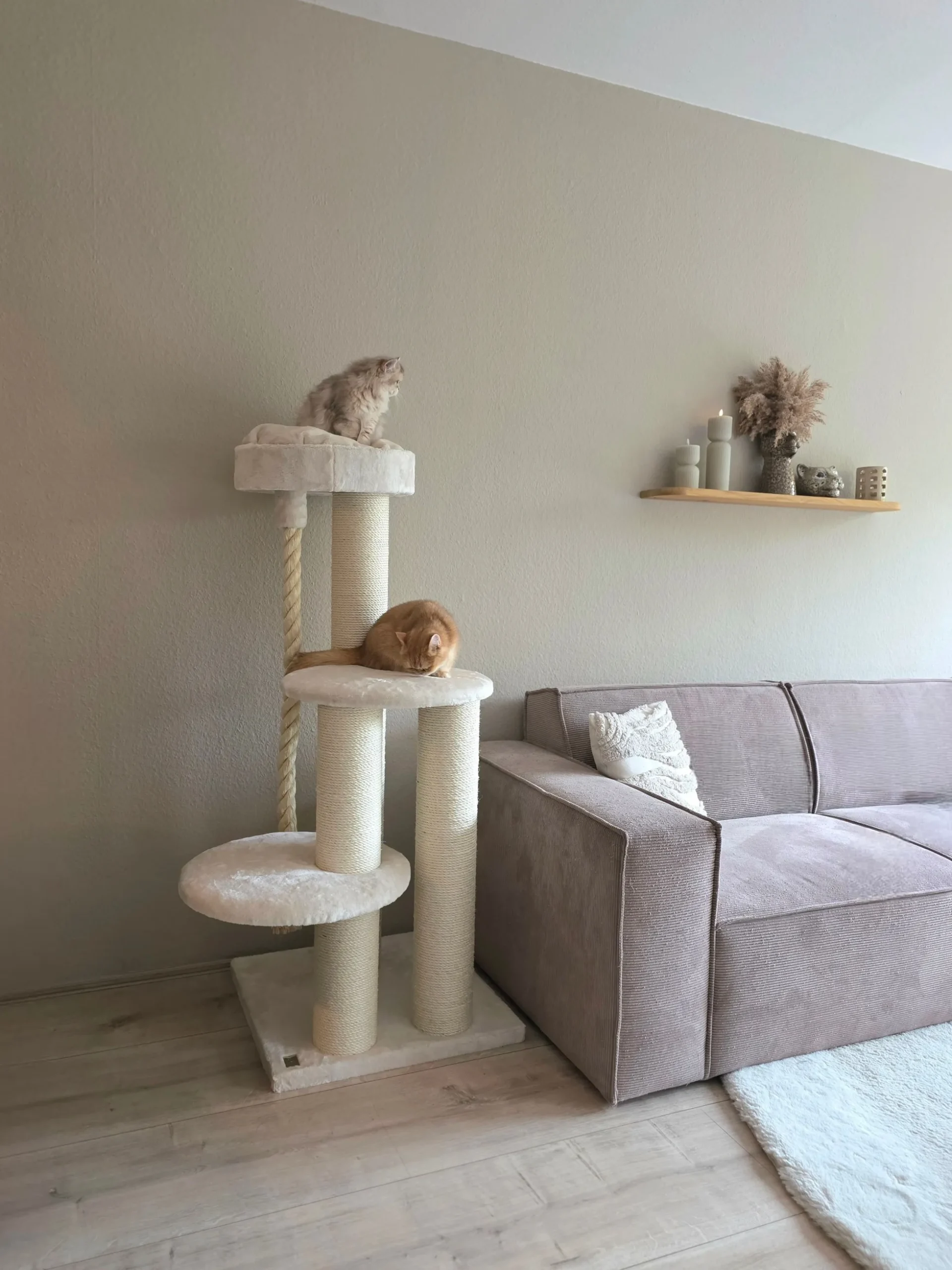 Krabpaal Sturdy Beige